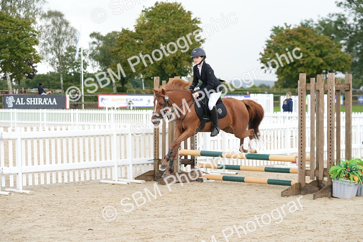 SBM_40022 - J6 - Junior Pony 55cm Championship