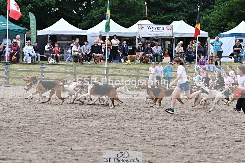 250524A-152735-12758 - East Devon Hounds
