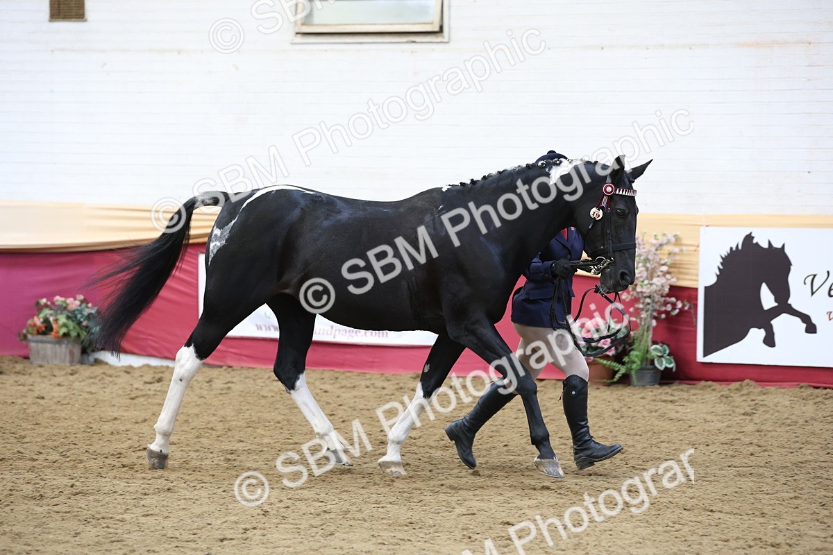 SBM_23654 - class 906 - Supreme Final - Ridden Pre Vet