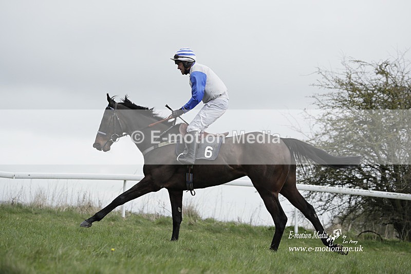 PtP 260323 0685 - New Forest Hounds Point-to-Point Larkhill 26/03/23