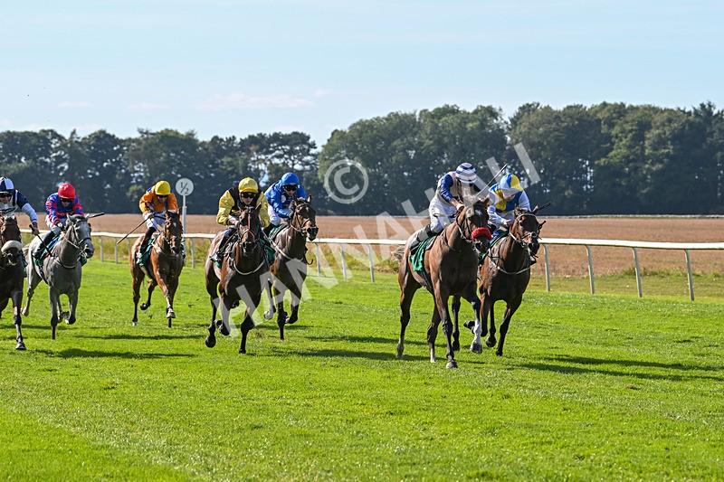 160924-Race 3-Moostar-2733 - Race 3