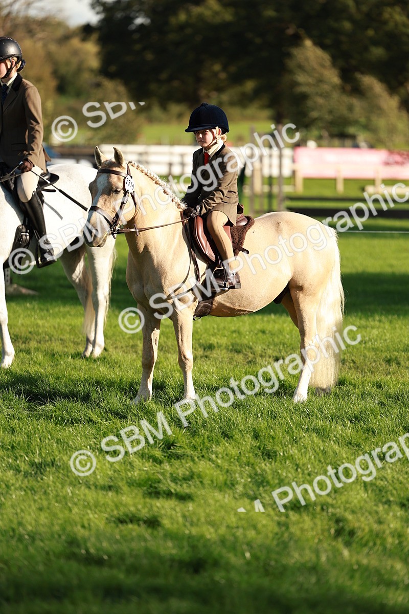 SBM_28740 - S7 - Novice & Newcomer Ridden Pony
