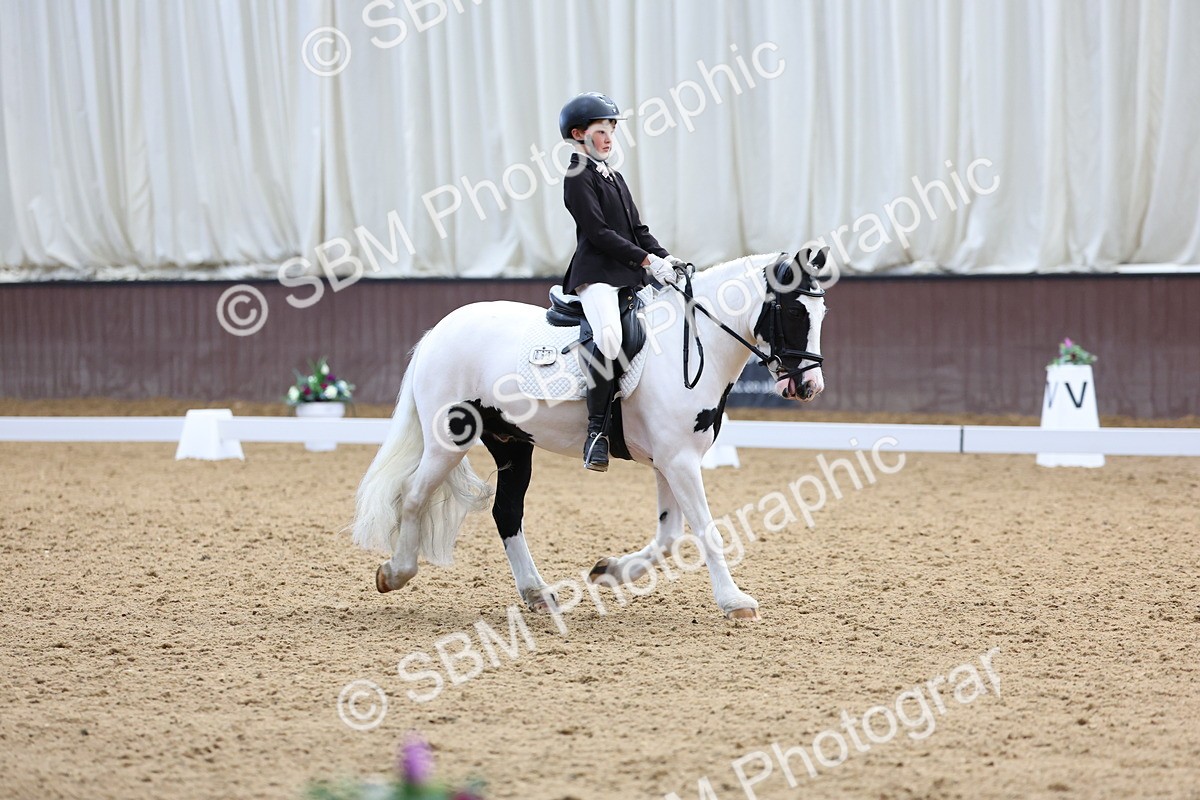 SBM_015800 - Class 15 - Novice FSM - 9.50 - 11.10