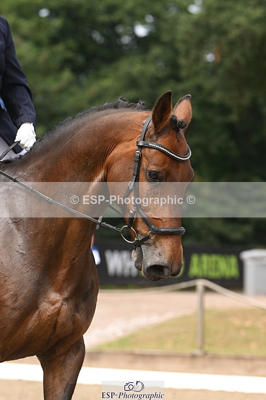 250719A-102513-03378 - 006-Karen.Hawkes-Bantine.Mullin