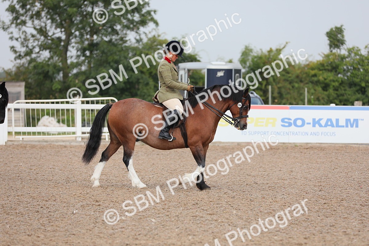 SBM_09967 - Class 302 Ridden M&M -Large Breeds