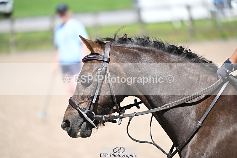 240729B-115843-02576 - Showjumping Competition