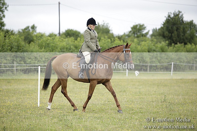 BVR160717-442 - Ring 1 BVRC Show 16/07/17