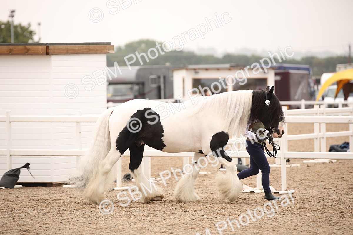 SBM_22117 - Class 707 - Ridden Groom-Helpers Class