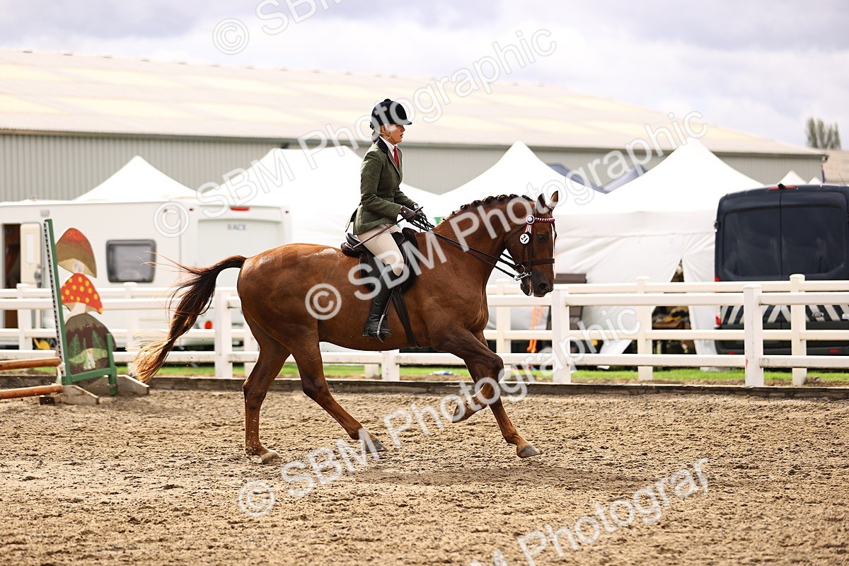 SBM_00555 - Class 53 - Ridden Competition Horse Pony
