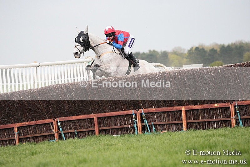 PtP 210418 276 - South & West Wilts Point-to-Point Larkhill 21/04/18