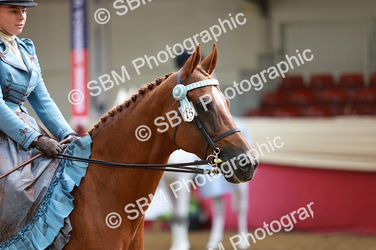 SBM_13749 - Class 106 - Ridden Costume -Astride Adult (15-19)