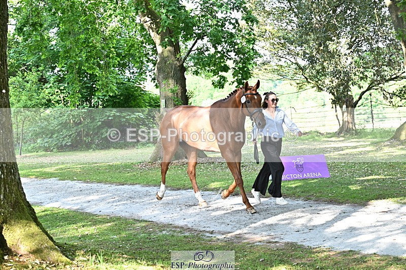 250521A-164758-01336 - C-259-Jasmine.Holmes-MSH.BONANZA