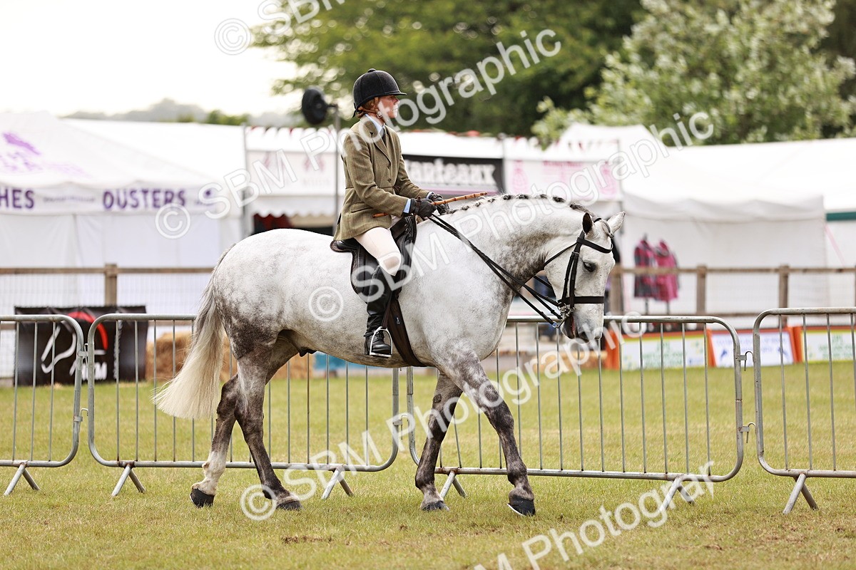 SBM_10734 - Class 81-84 - RIHS Ridden hunters Inc Ladies Hunter