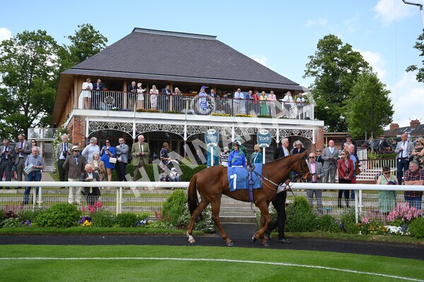 yr10062022r1-2 - Race 1 2.00pm Constant Security Gentlemen Amateur Riders Stakes