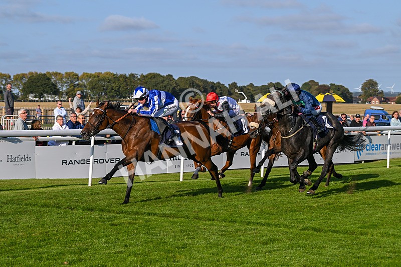 180924-Race 7-Fox Avatar-5242 - Race 7