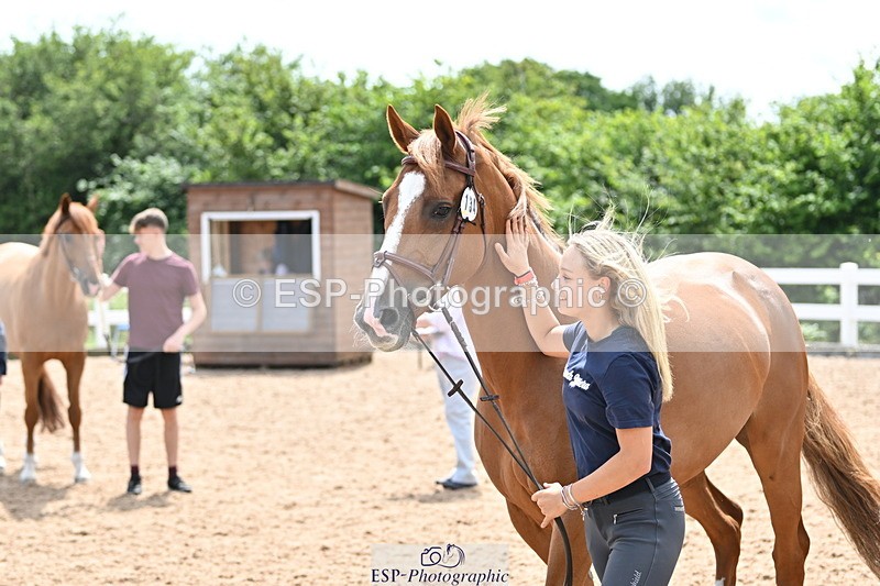 240717A-144409-02256 - Trot Up 2pm to 3pm - This folder is not in time order