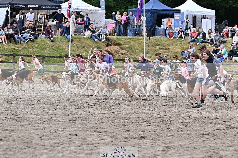 250524A-152733-12749 - East Devon Hounds