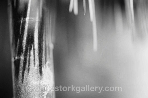  - Slow Photography