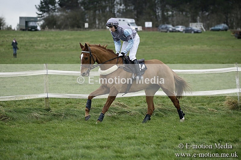 PtP 031217 411 - Hursley Hambledon Point-to-Point Larkhill 03/12/17