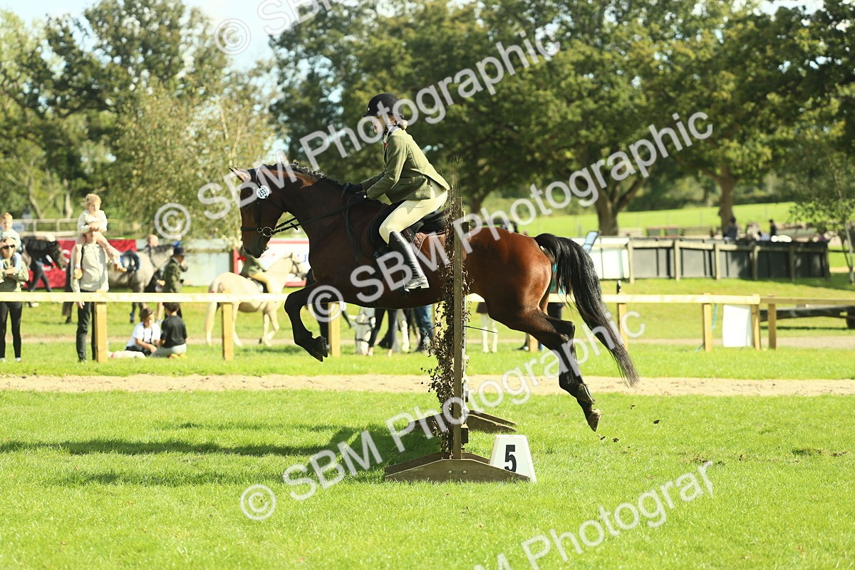 SBM_48090 - S32 - Novice & Newcomers Working Hunter