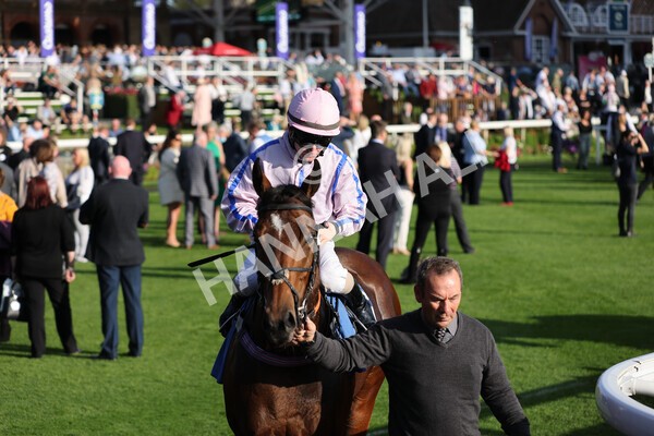yr08102021r5-13 - Race 5 4.20pm Copper Knight - Winning Most Horse At York Handicap