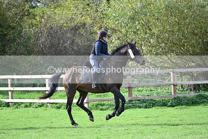 WJ7_1095 - Time 14:27 to 15:11