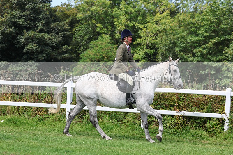 3E7A8656 - Class 5: Working Show Horse