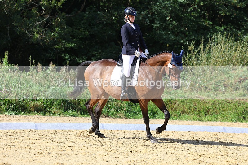 3E7A2569 - Class 1: Intro 4 2024 section A