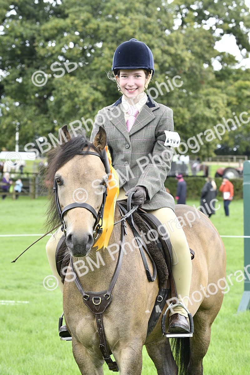 SBM_38296 - S31 - Novice & Newcomer Working Hunter Pony
