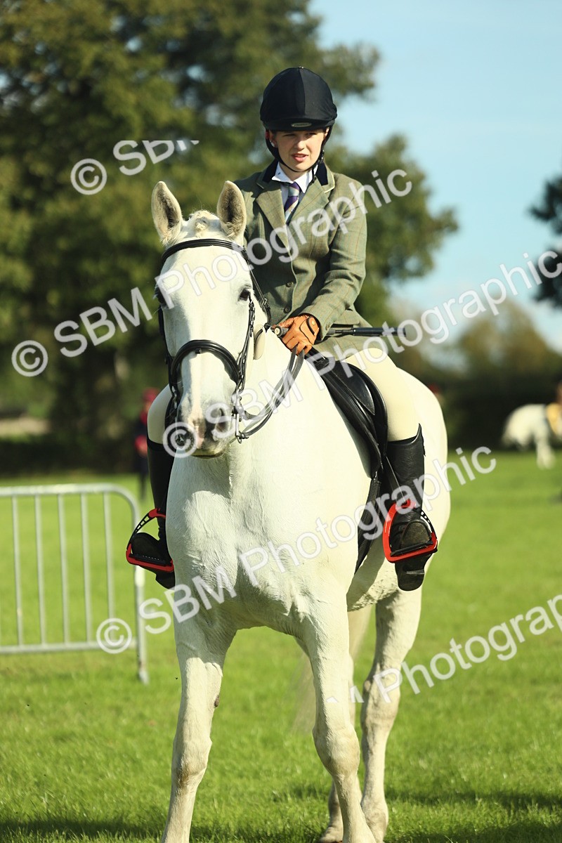 SBM_49823 - S32 - Novice & Newcomers Working Hunter