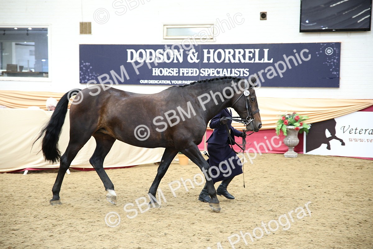 SBM_23382 - Class 904 - Supreme Final Ridden Diamond
