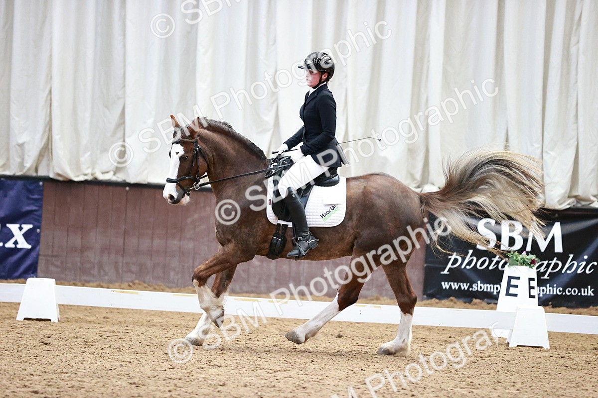 SBM_000152 - Class 3, 4, 8, 10 Intro 3 Prelim 3 Novice 2