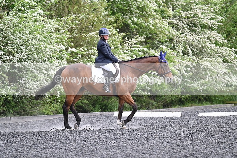 WJ7_1265 - Time 14:16 to 14:55