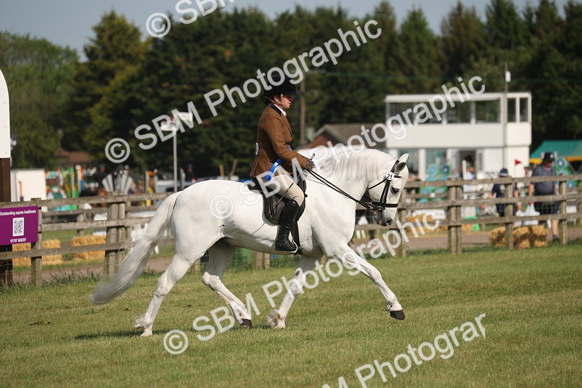 SBM_10232 - Class 33-38 - SSADL RIHS Qualifiers