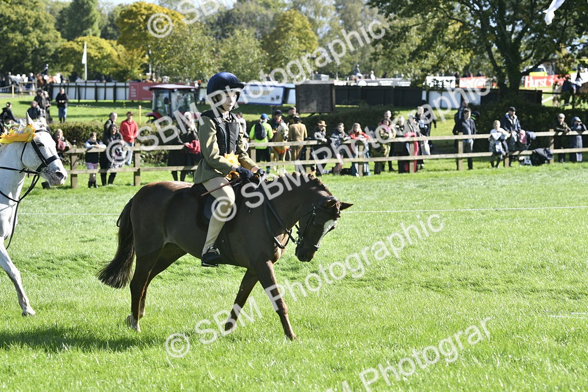 SBM_37260 - S31 - Novice & Newcomer Working Hunter Pony
