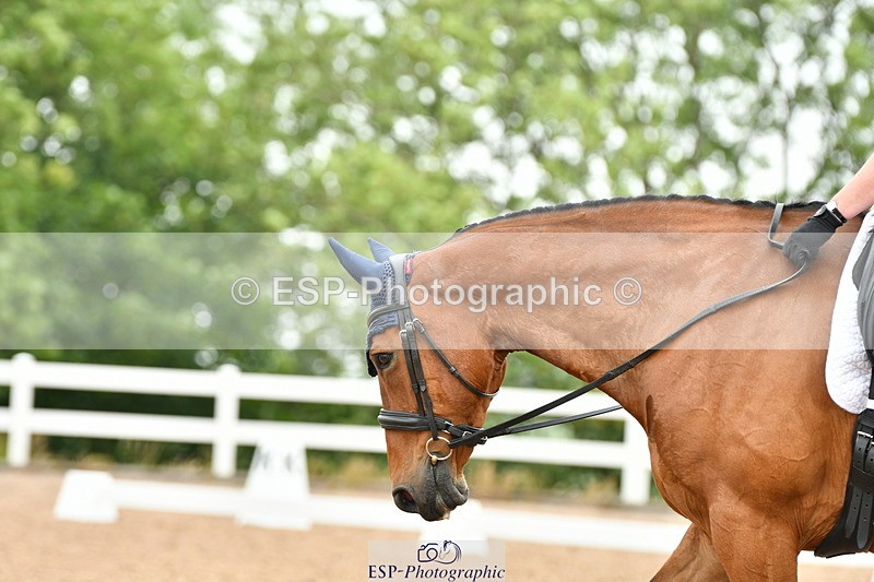 230708A-114650-01181 - Novice 23