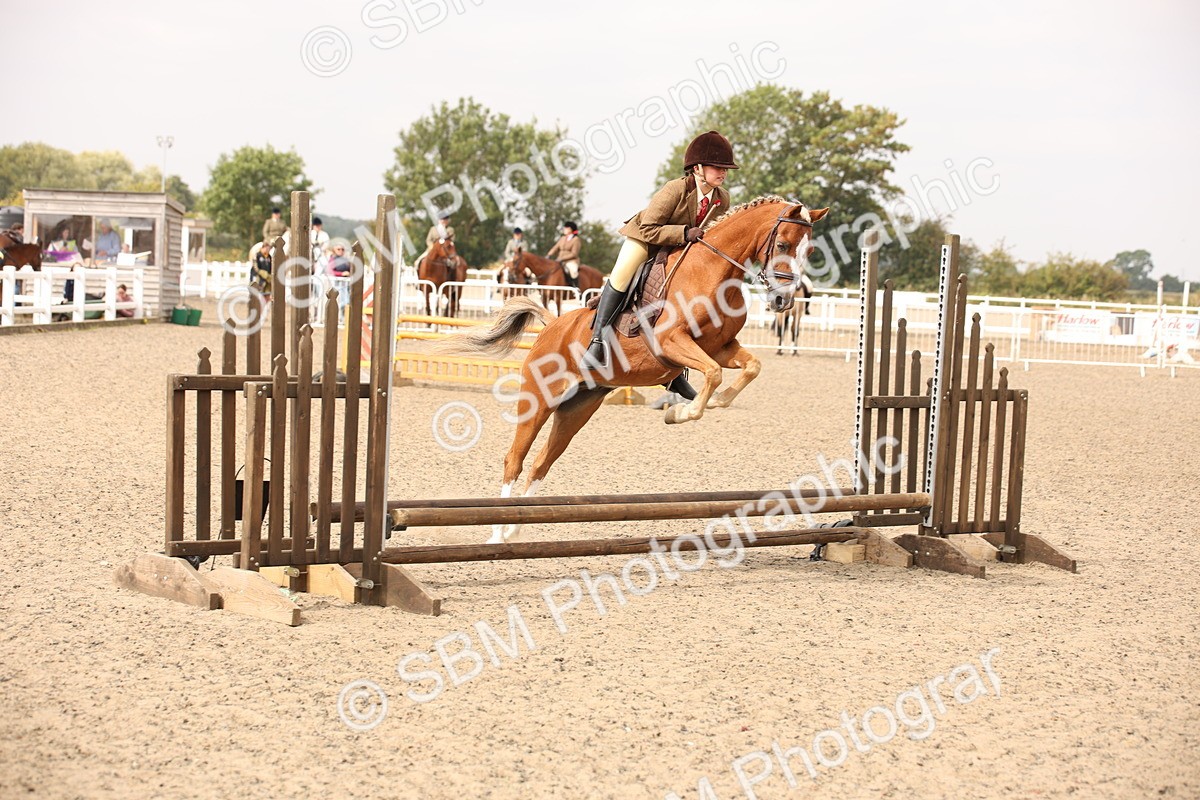 SBM_12623 - Class 405b - M&M Working Veteran 50cm 20+