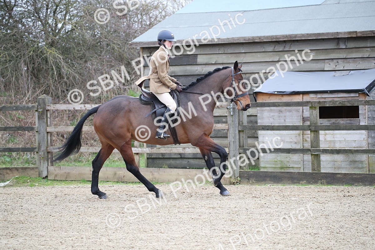 SBM_004740 - Class 5-9 - NPS In Hand-Show Hunter-Intermediate Ridden Inc Ridden Championship