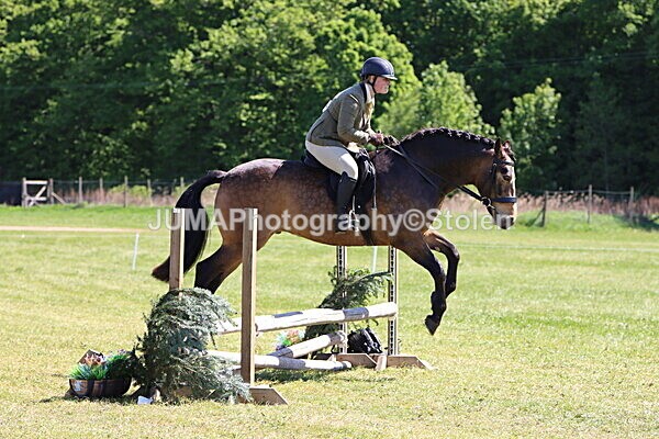 IMG_4036 - Working Hunter