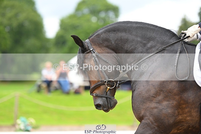 230813-104445-06416 - Cls 12 Elem Silver 10.35 to End