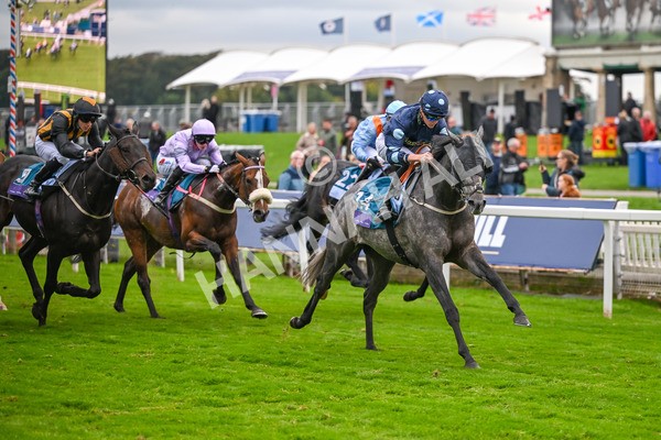 101025-Race 7-Sky Advocate-7174 - Race 7 PJ Staffing Group Apprentice Handicap at York