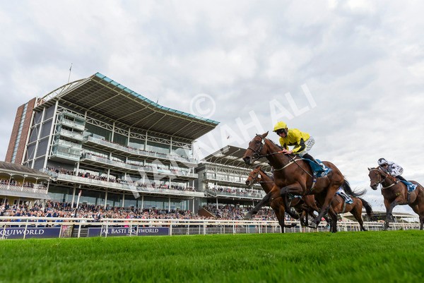 230923-Race 3-Politico-3242 - Race 3 3.10pm Happy 60th Birthday Angela Clark Nursery Handicap