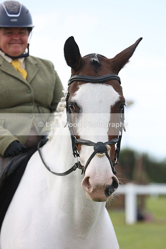 JPP_4133 - Class 24: Working Hunter 90cm