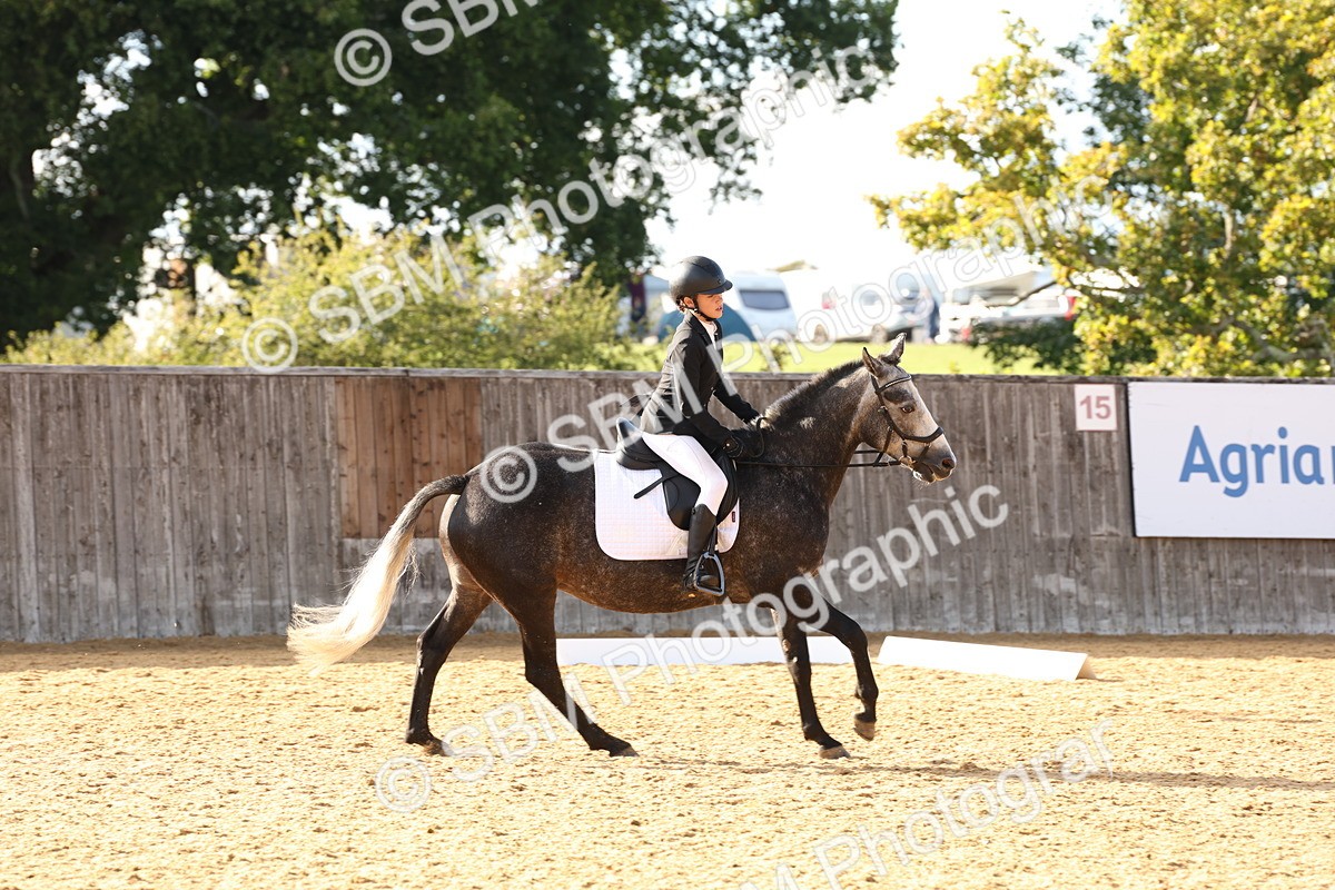 SBM_11608 - D9 - Small Tour Championship Prelim 3