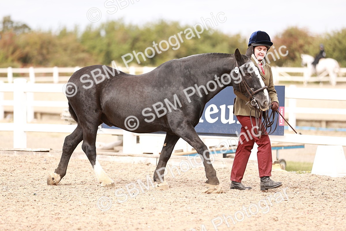 SBM_16298 - Class 413 - Best Condition - Adult