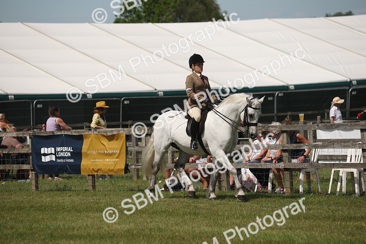 SBM_07585 - Class 26-30 - Mountain and Moorland Ridden