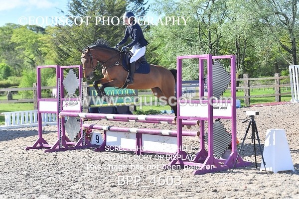 BPP_4603 - CLASS 12 SAT Club/ Unaffiliated 80cms Open