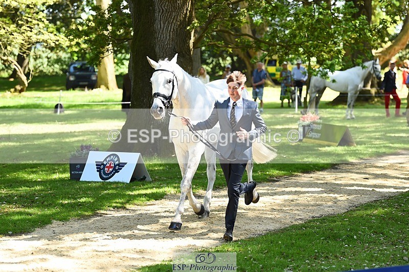 230524-151402-00148 - 313-LOUISBOURG_C-Jack_Whiteford-WEDTrotUp+DR