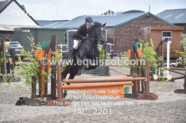 JAC_2201 - CLASS 2 Novice Working Hunter