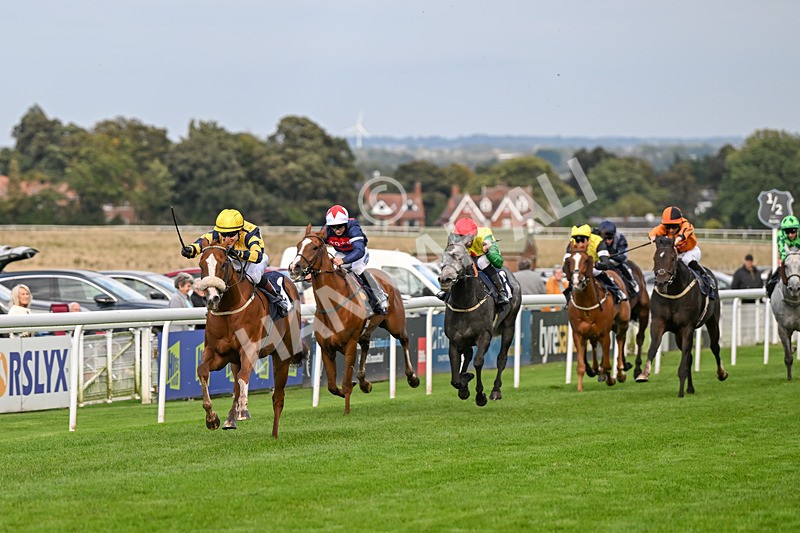 240924-Race 6-Captain Corelli-6677 - Race 6